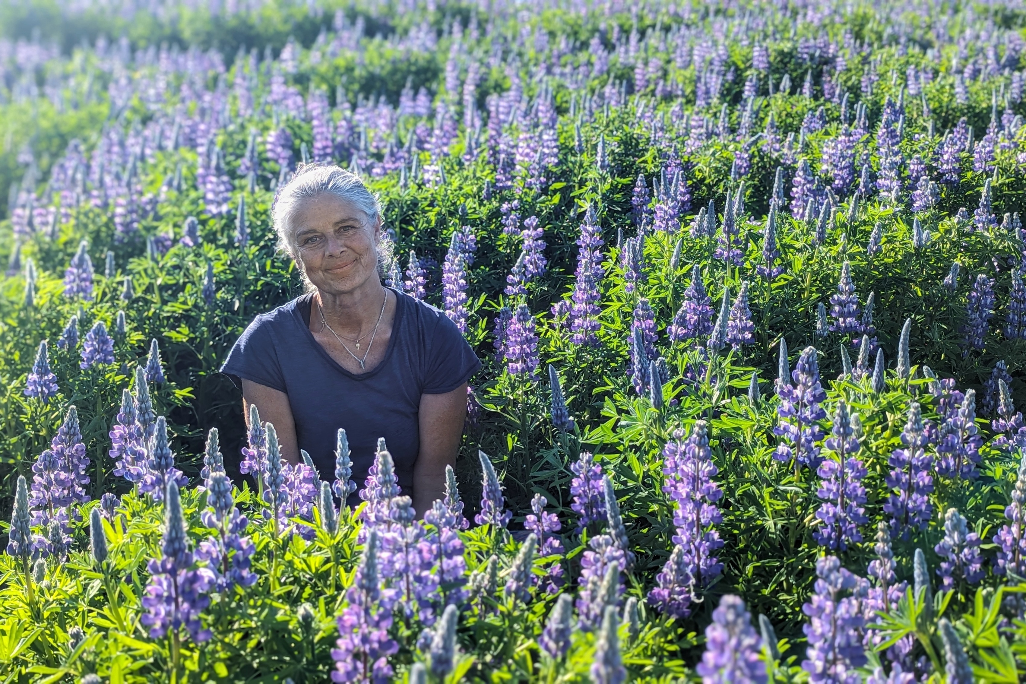 Isabelle dans les lupins de la péninsule de Kenai